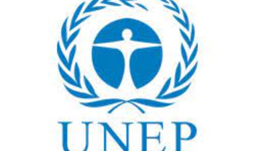 PROGRAMME MANAGEMENT OFFICER, NOD Job Ref. MW/UNEP/0109/23-6