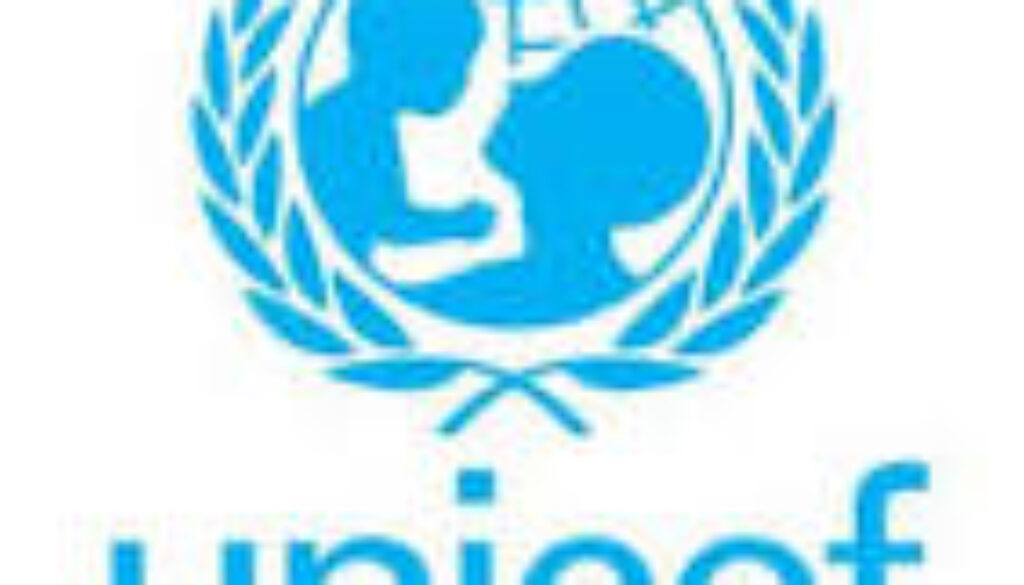 Security Assistant G-5, Maiduguri, Nigeria,Job Ref. NG/UNICEF/2911/2440