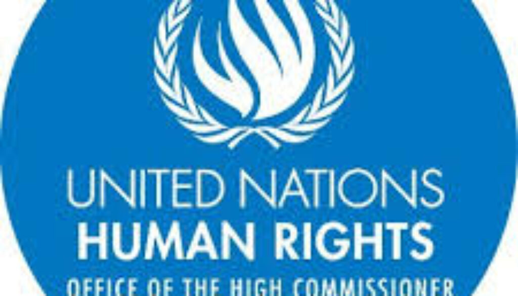 HUMAN RIGHTS OFFICER, Niamey, Niger,Job Ref. NE/OHCHR/2911/2437