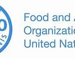 Food and Agriculture Organization of the United Nations (FAO)