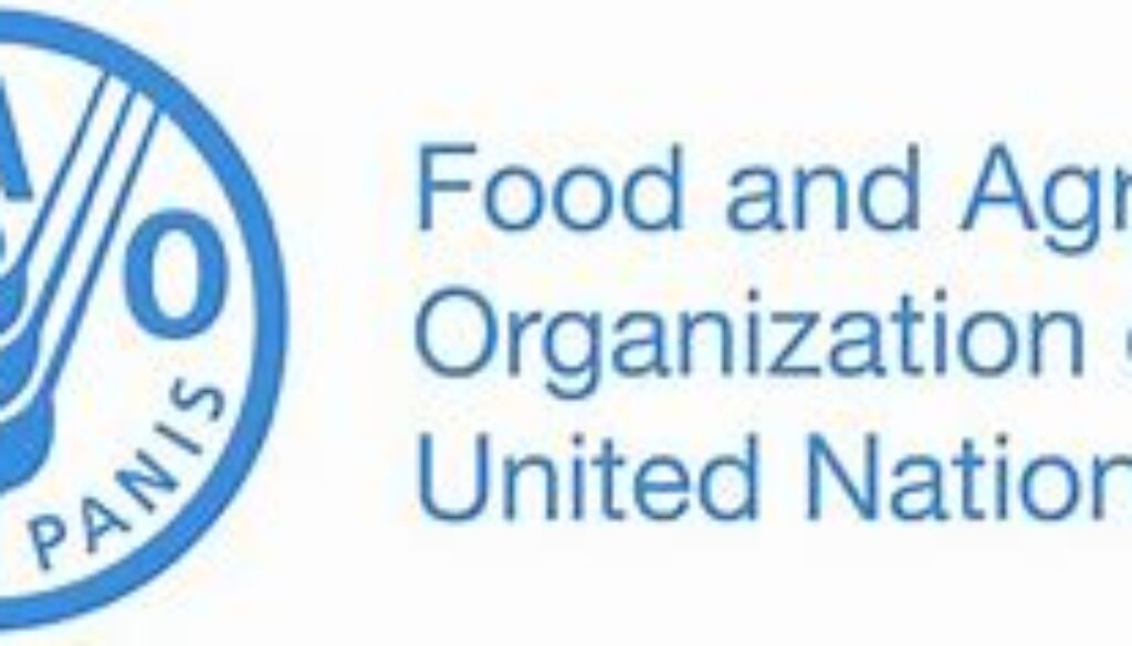Office Assistant, Pretoria, South Africa– Job Ref. ZA/FAO/2605/2684