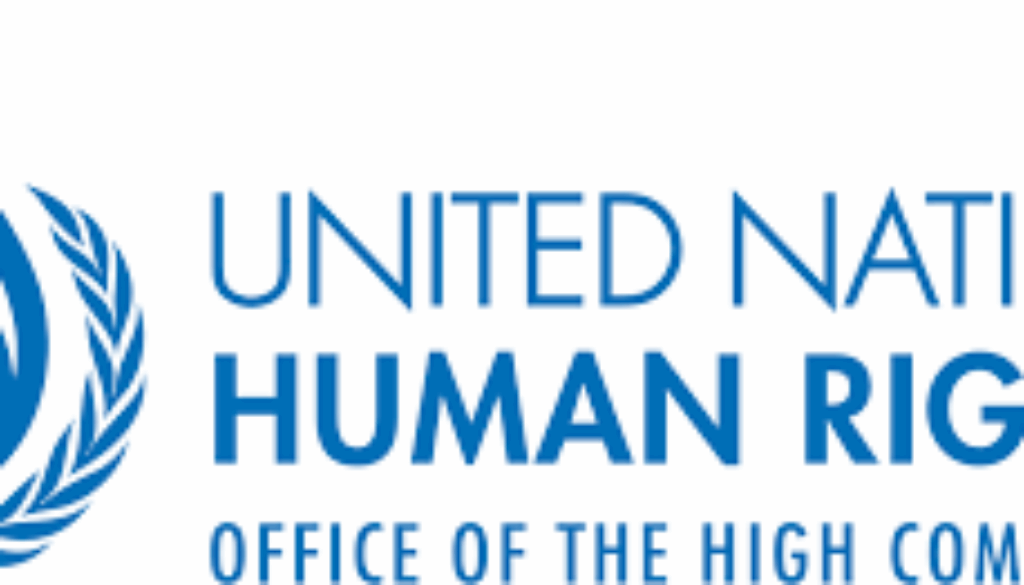 HUMAN RIGHTS OFFICER, Pretoria, South Africa– Job Ref. ZA/OHCHR/1007/2690