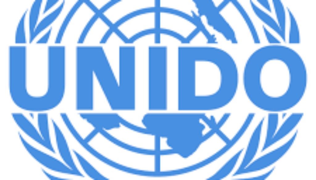 National Project Coordinator, Pretoria, South Africa- Job Ref. ZA/UNIDO/1308/2703